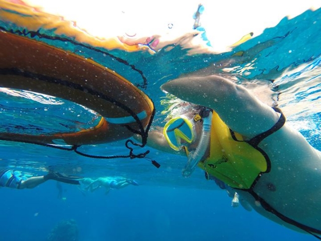 snorkel en el caribe
